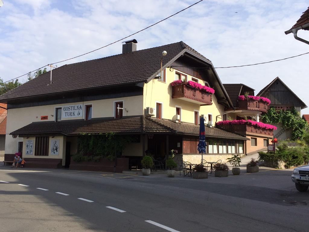 Gostilna Turk Hotel Hotedrsica Exterior foto