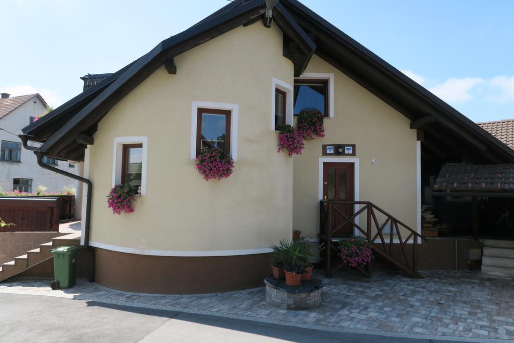 Gostilna Turk Hotel Hotedrsica Exterior foto